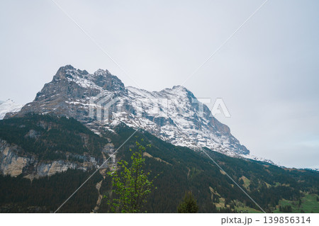 グリンデルワルドの美しい山の風景 グリンデルワルドの美しい山の風景 139856314
