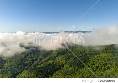 Smoky mountains summer woods. Appalachian mountains in North Carolina with fresh green forest trees in summertime rainy season. Beauty of USA nature. Smoky mountains summer woods. Appalachian mountains in North Carolina with fresh green forest trees in summertime rainy season. Beauty of USA nature. 139856699