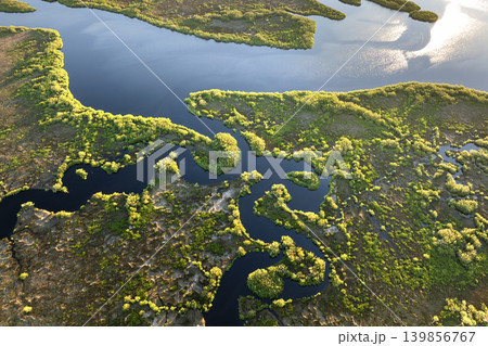 Florida wetlands with river between green wild vegetation. Tropical ecosystem at sunset Florida wetlands with river between green wild vegetation. Tropical ecosystem at sunset 139856767