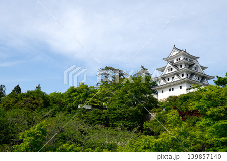 岐阜県郡上市_郡上八幡城8_2025年5月 139857140