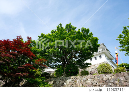 岐阜県郡上市_郡上八幡城24_2025年5月 岐阜県郡上市_郡上八幡城24_2025年5月 139857154