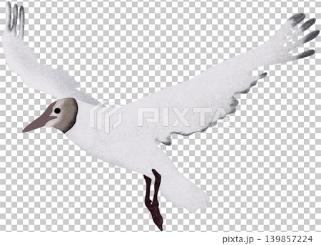 white crane bird 139857224