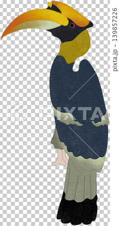 hornbill bird illustration hornbill bird illustration 139857226