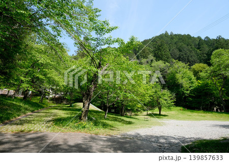岐阜県郡上市_愛宕公園5_2025年5月 139857633