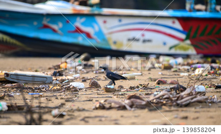 Crow scavenging food among plastic waste on a polluted beach near a fishing boat. Environmental pollution and ocean trash concept Crow scavenging food among plastic waste on a polluted beach near a fishing boat. Environmental pollution and ocean trash concept 139858204