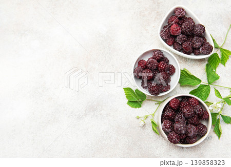 Frozen blackberries in white bowls with green leaves Frozen blackberries in white bowls with green leaves 139858323
