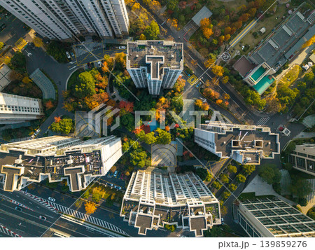 High-rise residential complex viewed from above, showcasing dense buildings and vibrant autumn trees with urban roads High-rise residential complex viewed from above, showcasing dense buildings and vibrant autumn trees with urban roads 139859276