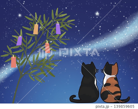 七夕の笹飾りと天の川と夜空を見上げる猫の背景イラスト 139859605