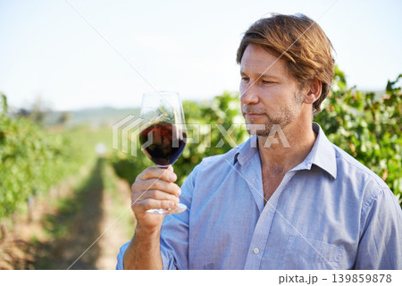 Man, farmer and vineyard with glass of wine for quality control, agriculture and sustainable winery. Vintage, red drink and nature in New Zealand, grape fields and small business for organic alcohol Man, farmer and vineyard with glass of wine for quality control, agriculture and sustainable winery. Vintage, red drink and nature in New Zealand, grape fields and small business for organic alcohol 139859878