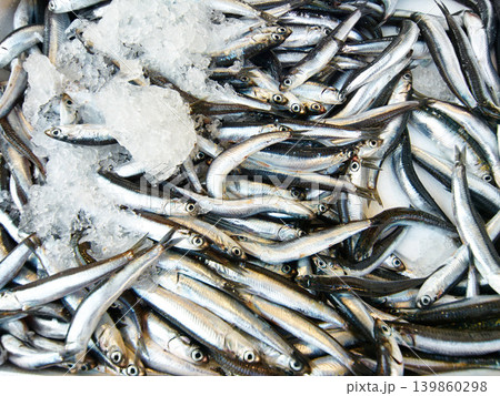 Market, small business or ice with fish in seafood store for health benefits, omega 3 or minerals. Fishing industry, restaurant or frozen sardines at supermarket for groceries, protein or vitamins Market, small business or ice with fish in seafood store for health benefits, omega 3 or minerals. Fishing industry, restaurant or frozen sardines at supermarket for groceries, protein or vitamins 139860298