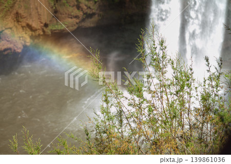 Ouzoud Waterfalls with lush cliffs in Moroccan Atlas Mountains Ouzoud Waterfalls with lush cliffs in Moroccan Atlas Mountains 139861036