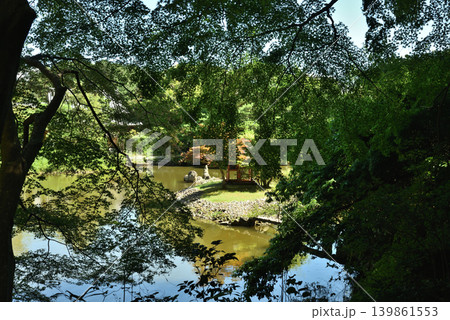 浄瑠璃寺 快晴の庭園(京都府木津川市) 浄瑠璃寺 快晴の庭園(京都府木津川市) 139861553
