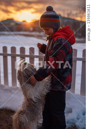 Child with shih tzu dog standing by the fence at winter sunset Child with shih tzu dog standing by the fence at winter sunset 139861611