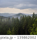 Misty spring morning mountains with forest view  (Carpathians, Ukraine.) 139862002