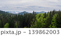 Misty spring morning mountains with forest view  (Carpathians, Ukraine.) 139862003