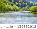 Spring picturesque river band view. Mountains scenery view behind (Stryi river near Skhidnytsya village, Ukraine.) 139862012