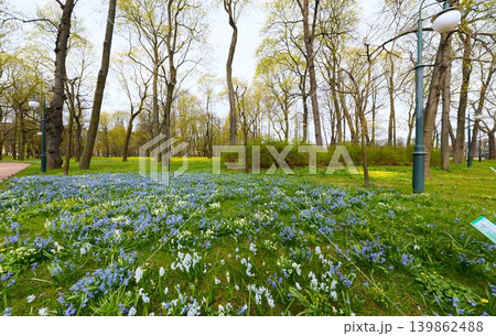 the summer garden on a sunny May morning, alleys of trees and statues, green lawns with flowers, no people 139862488