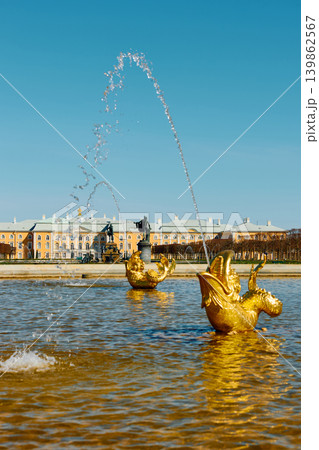 fountains of the upper garden of Peterhof Palace at clear sunny day, preparations for the opening of the fountain season, gold covered fountains of the upper garden of Peterhof Palace at clear sunny day, preparations for the opening of the fountain season, gold covered 139862567