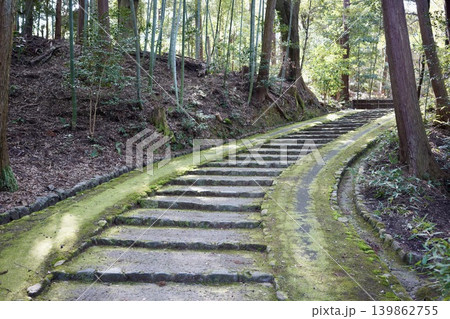 苔むした石段 苔むした石段 139862755