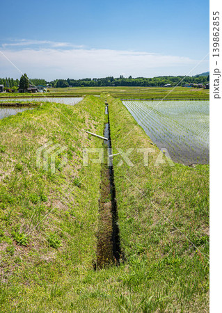 奥琵琶湖の長閑な田園風景 滋賀県高島市マキノ町 奥琵琶湖の長閑な田園風景 滋賀県高島市マキノ町 139862855