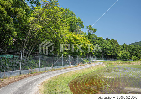 奥琵琶湖の田園風景 滋賀県高島市マキノ町 奥琵琶湖の田園風景 滋賀県高島市マキノ町 139862858