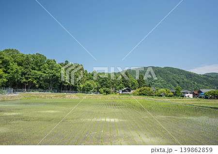 奥琵琶湖の長閑な田園風景 滋賀県高島市マキノ町 奥琵琶湖の長閑な田園風景 滋賀県高島市マキノ町 139862859