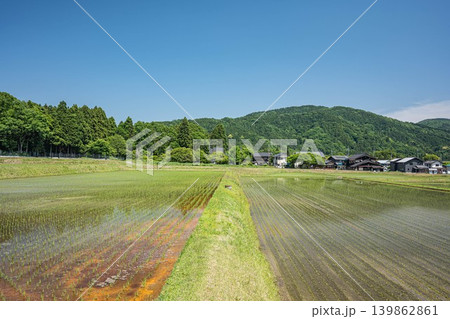 奥琵琶湖の長閑な田園風景 滋賀県高島市マキノ町 奥琵琶湖の長閑な田園風景 滋賀県高島市マキノ町 139862861