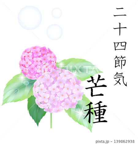 二十四節気 芒種 二十四節気 芒種 139862938