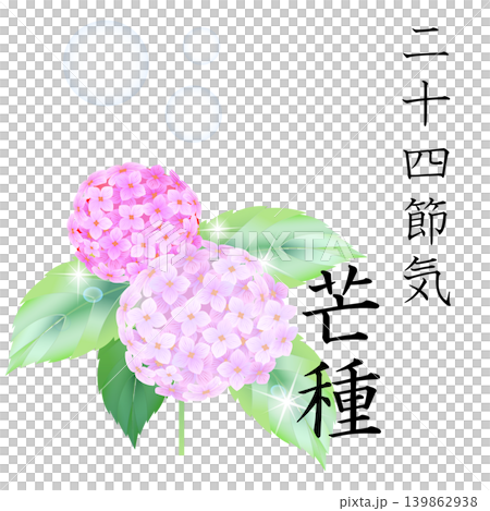 二十四節気 芒種 二十四節気 芒種 139862938