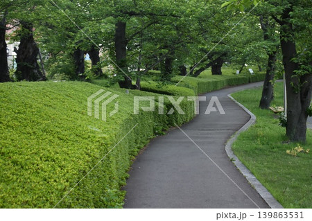 緑に囲まれた曲線の遊歩道と静かな公園風景 139863531