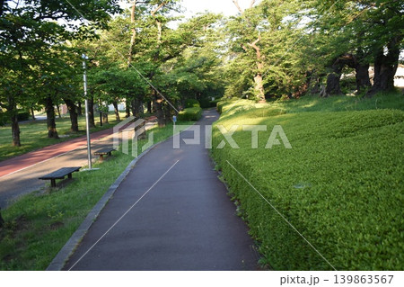 朝の木漏れ日が差し込む公園の遊歩道 朝の木漏れ日が差し込む公園の遊歩道 139863567