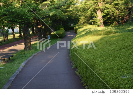 朝の木漏れ日が差し込む公園の遊歩道 朝の木漏れ日が差し込む公園の遊歩道 139863593