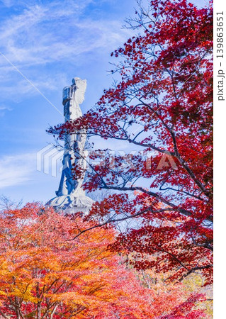 日本の秋像 日本の秋像 139863651