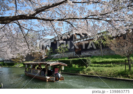 春の濠川を進む十石舟と伏見の酒蔵 【京都府京都市伏見区】 春の濠川を進む十石舟と伏見の酒蔵 【京都府京都市伏見区】 139863775