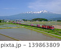 春の鳥海山をバックに走る貨物列車 139863809