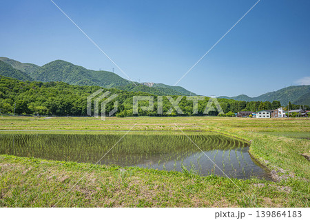 奥琵琶湖の長閑な田園風景 滋賀県高島市マキノ町 奥琵琶湖の長閑な田園風景 滋賀県高島市マキノ町 139864183