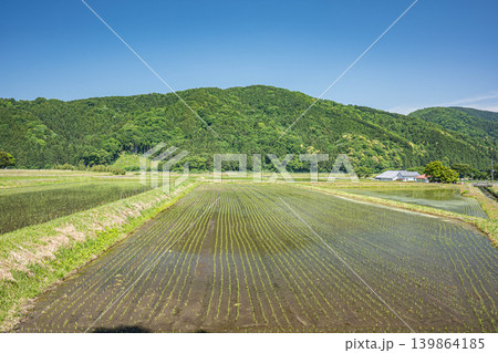奥琵琶湖の長閑な田園風景　滋賀県高島市マキノ町 139864185