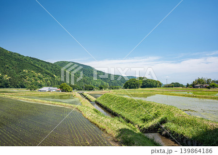 奥琵琶湖の長閑な田園風景 滋賀県高島市マキノ町 奥琵琶湖の長閑な田園風景 滋賀県高島市マキノ町 139864186