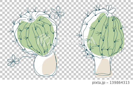 ラフタッチでゆるいサボテンの絵のセット 139864313