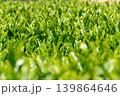 青空に広がる鈴鹿の茶畑　伊勢茶の新緑 139864646