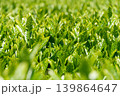 青空に広がる鈴鹿の茶畑　伊勢茶の新緑 139864647