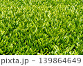 青空に広がる鈴鹿の茶畑　伊勢茶の新緑 139864649