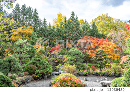 初秋の日本庭園 天神山緑地 札幌市 初秋の日本庭園 天神山緑地 札幌市 139864894