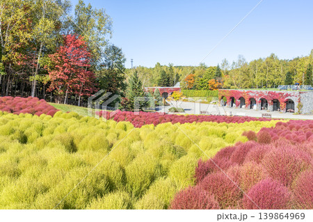 コキア　滝野すずらん丘陵公園　札幌市 139864969