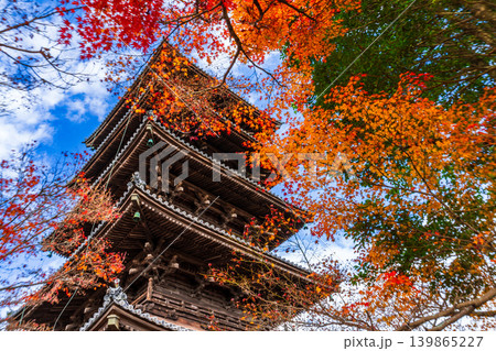 備中国分寺の晩秋 紅葉に包まれる五重塔6 岡山県総社市 備中国分寺の晩秋 紅葉に包まれる五重塔6 岡山県総社市 139865227