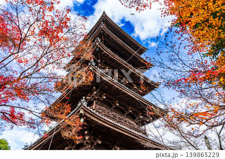 備中国分寺の晩秋　紅葉に包まれる五重塔4　岡山県総社市 139865229