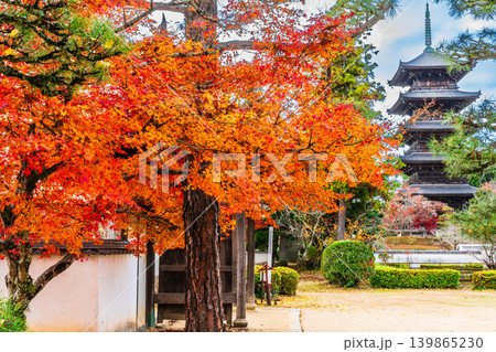 備中国分寺の晩秋 紅葉と山門と五重塔4 岡山県総社市 備中国分寺の晩秋 紅葉と山門と五重塔4 岡山県総社市 139865230