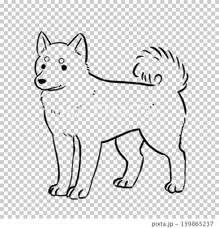 柴犬的線條藝術插圖:日本犬的簡單站立姿勢。 柴犬的線條藝術插圖:日本犬的簡單站立姿勢。 139865237