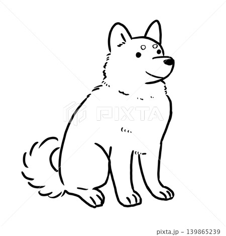 お座りして見上げる柴犬の線画イラスト お座りして見上げる柴犬の線画イラスト 139865239