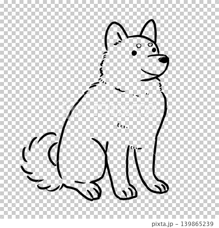お座りして見上げる柴犬の線画イラスト お座りして見上げる柴犬の線画イラスト 139865239